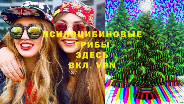 эйфоретик Абинск